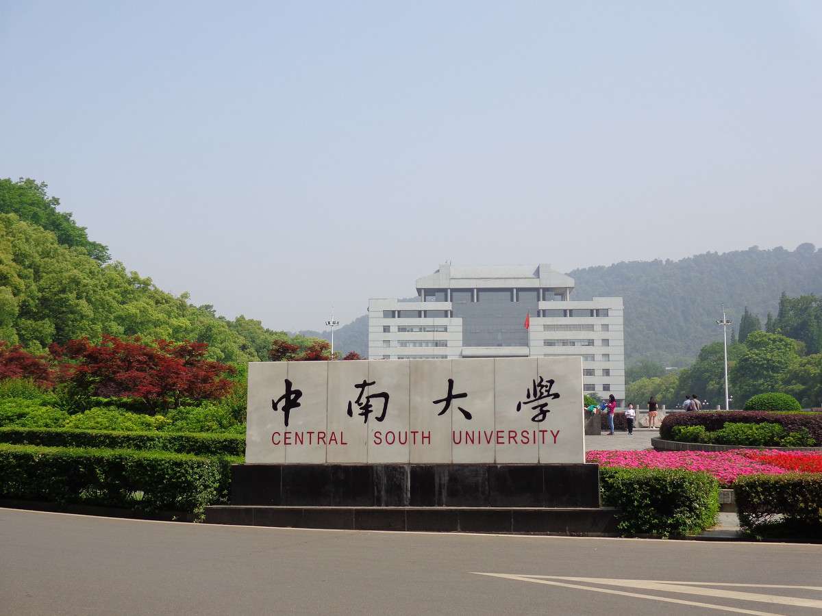 中南大学：湖南第一高校，2021年各省份录取详情