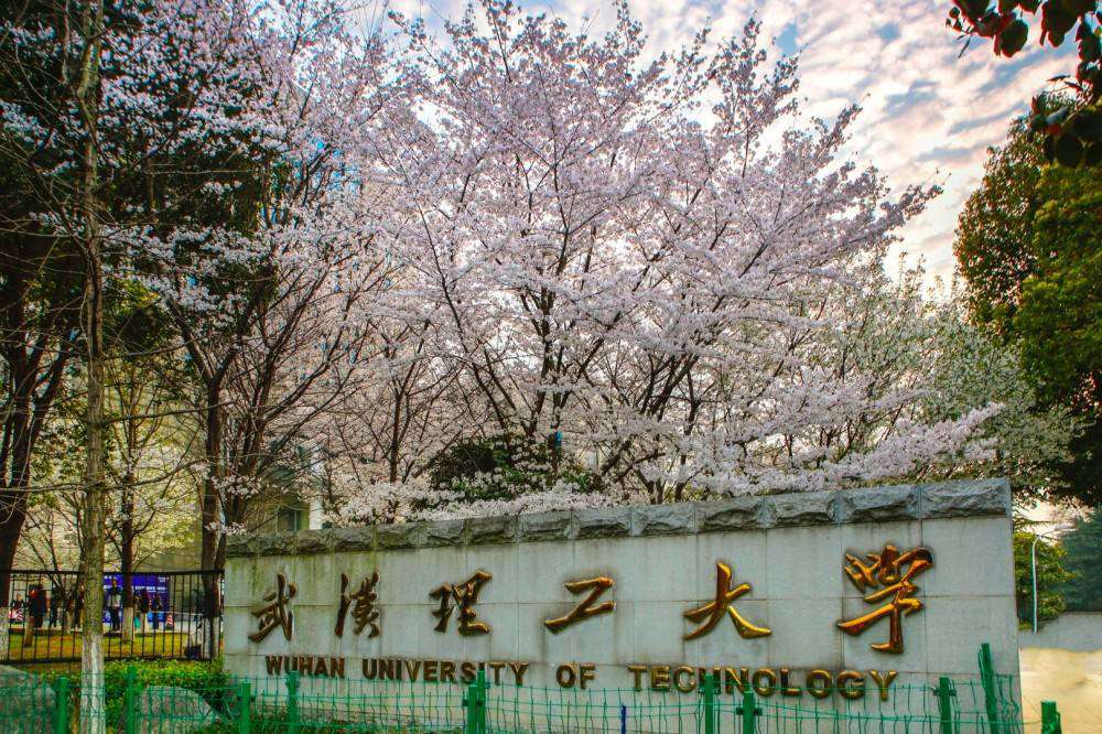 武汉理工大学：2021年招生计划、选科要求、录取详情及简要分析