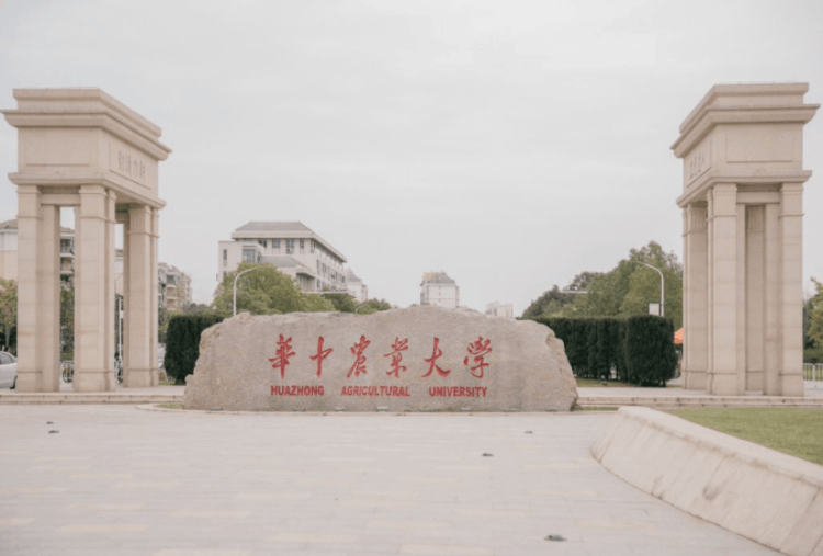 湖北高校金字塔排名出炉，第一梯队让人羡慕，长江大学不尽如人意