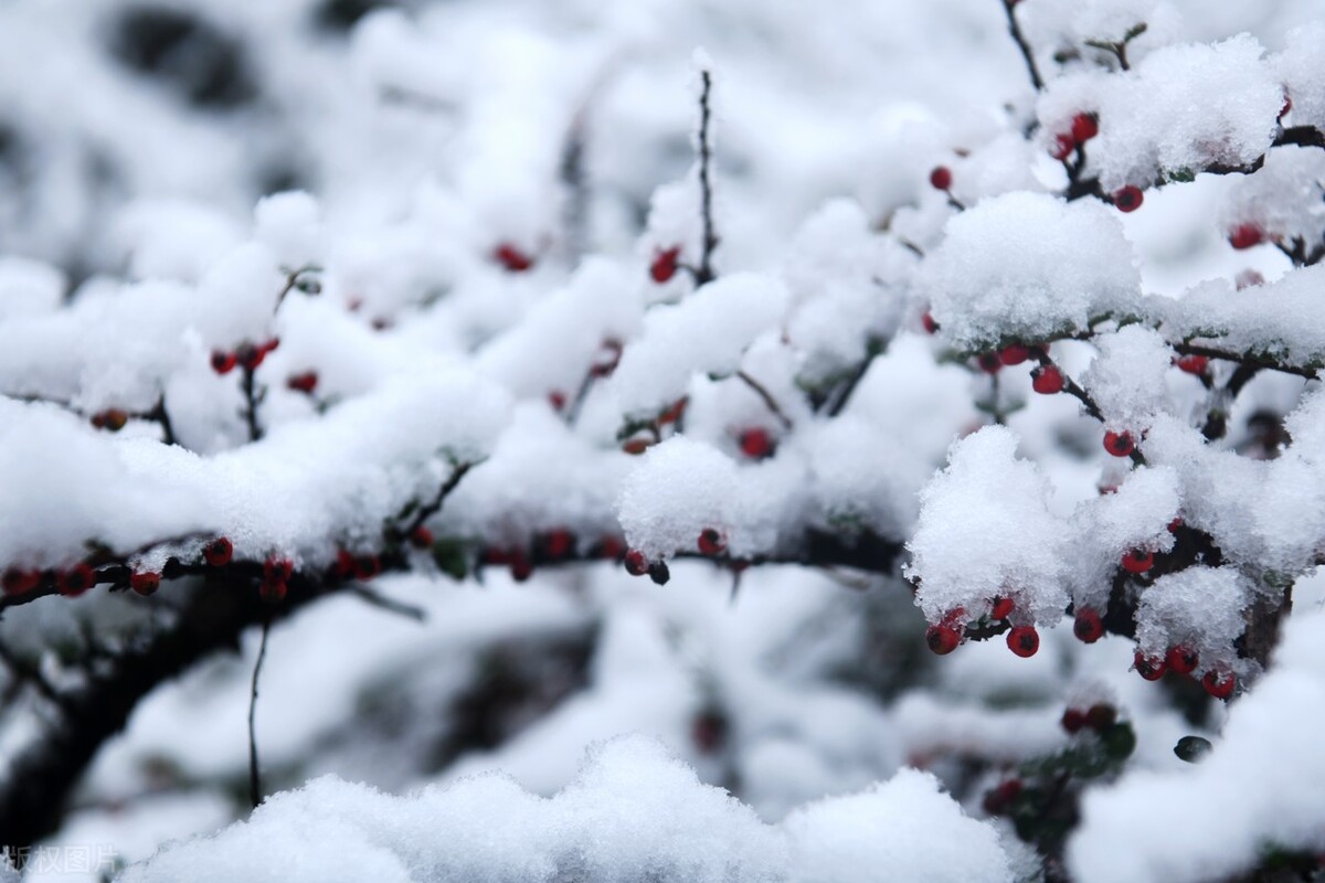 立冬下雪预兆什么(下雪的前兆是什么现象)