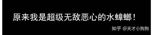 广东人喜欢吃什么（恶心的广东人什么都吃）