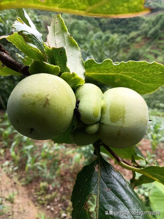 货币大放水利好哪些行业 货币大放水适合做什么