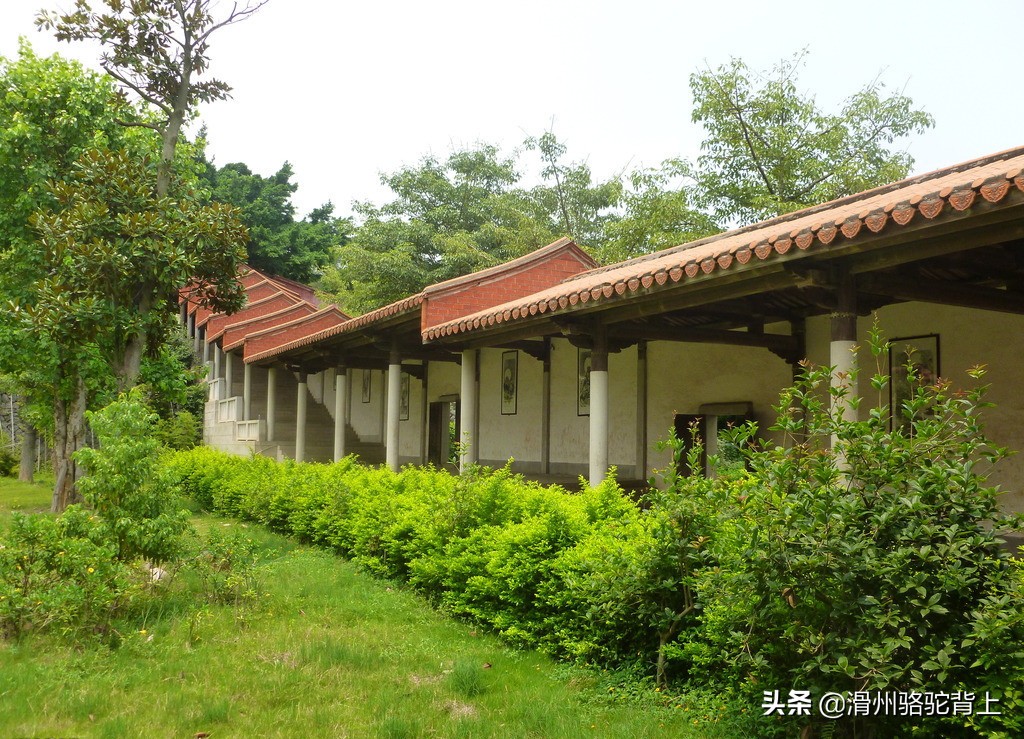 少林寺在哪个省哪个市哪个县（少林寺有多少年的历史）