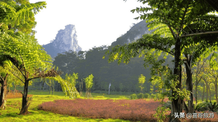 柳州景点景点排名（柳州市附近好玩的十大旅游景点）