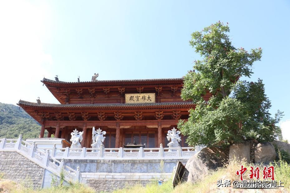 少林寺在哪个省哪个市哪个县（少林寺有多少年的历史）