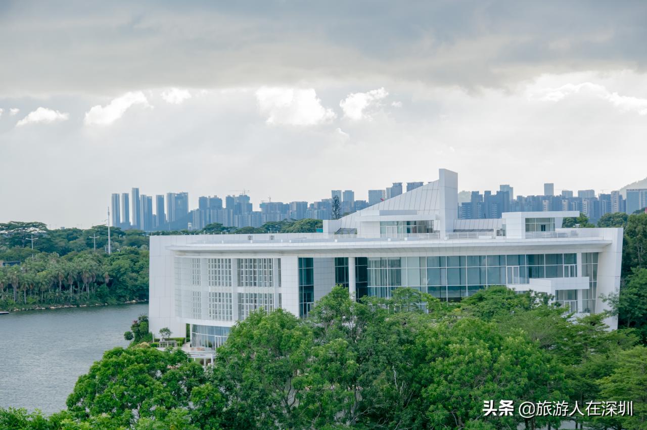 深圳最繁华的地方在哪里（深圳市最繁华的商业街）