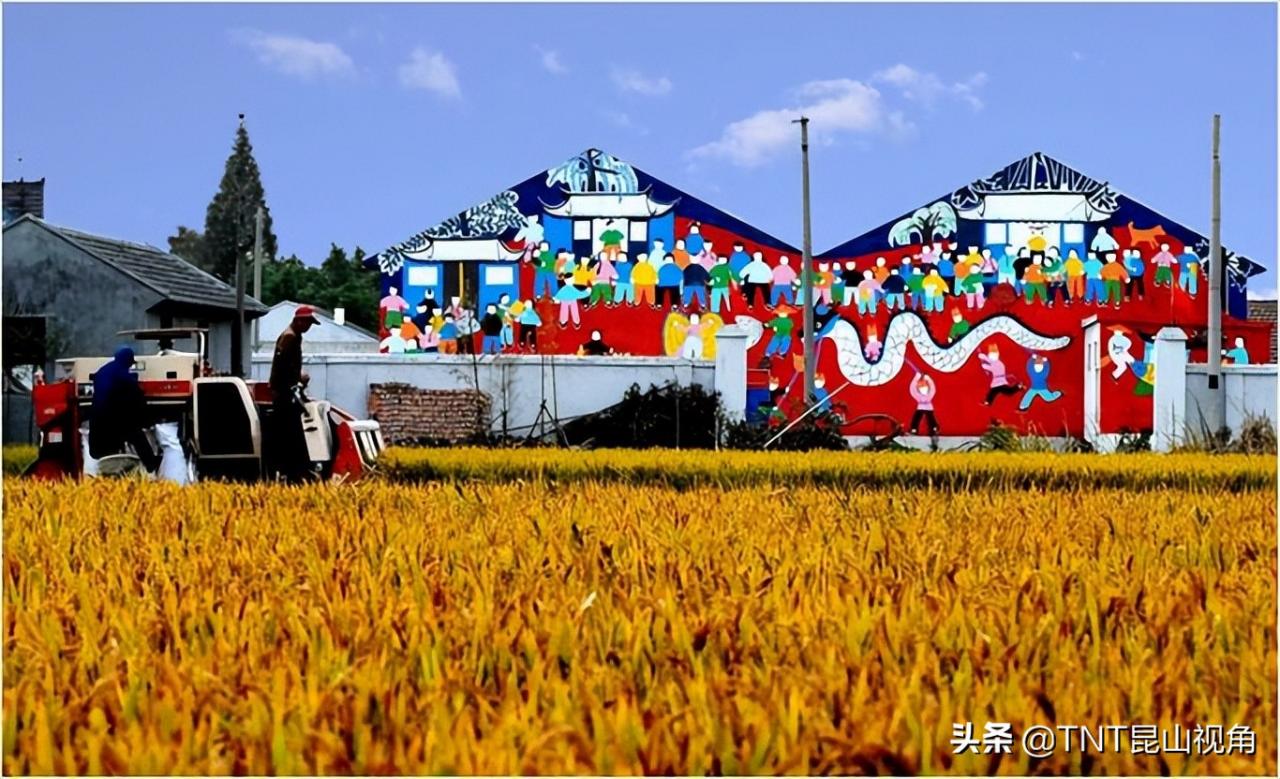 华亭人家(华亭人家毛桥村)