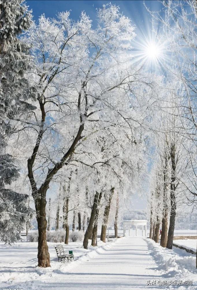 立冬下雪预兆什么 下雪的前兆是什么现象