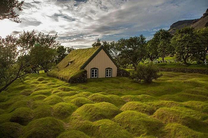 盘点世界上最奇葩的住处（世界上最奇葩的房子）