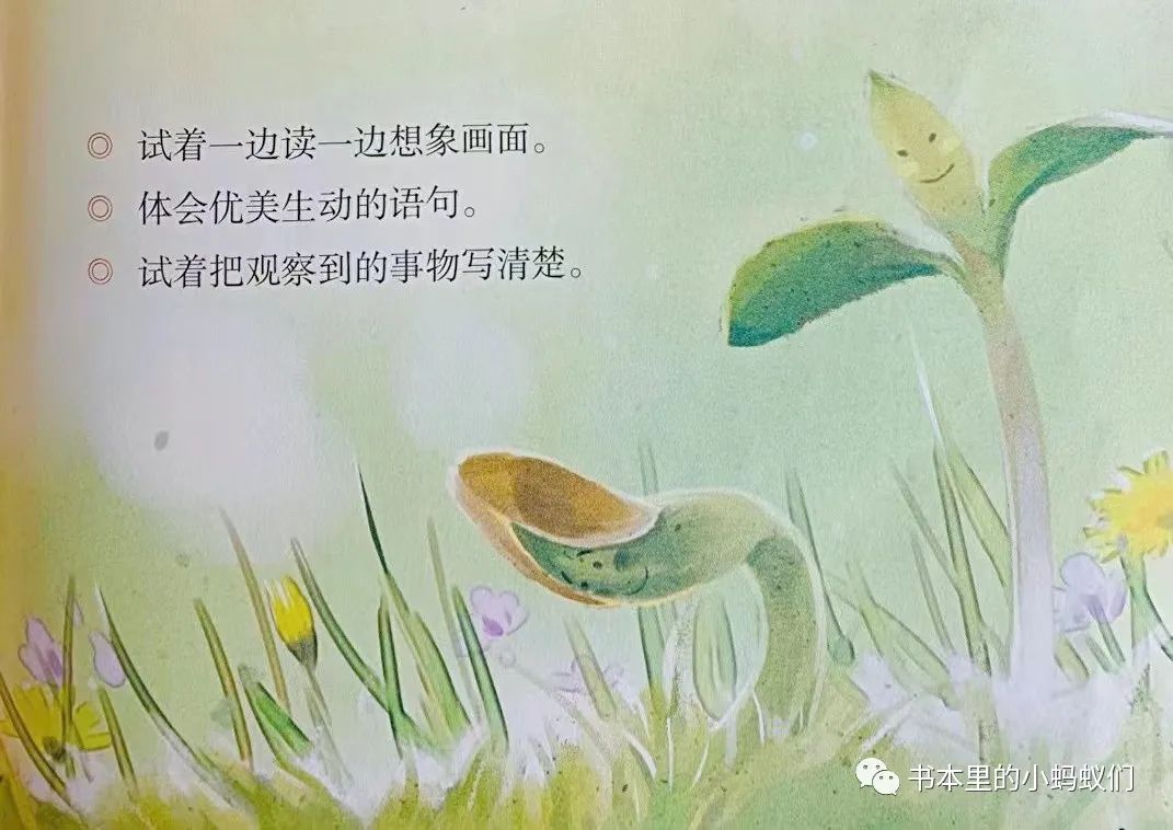 灰尘的旅行好词好句摘抄