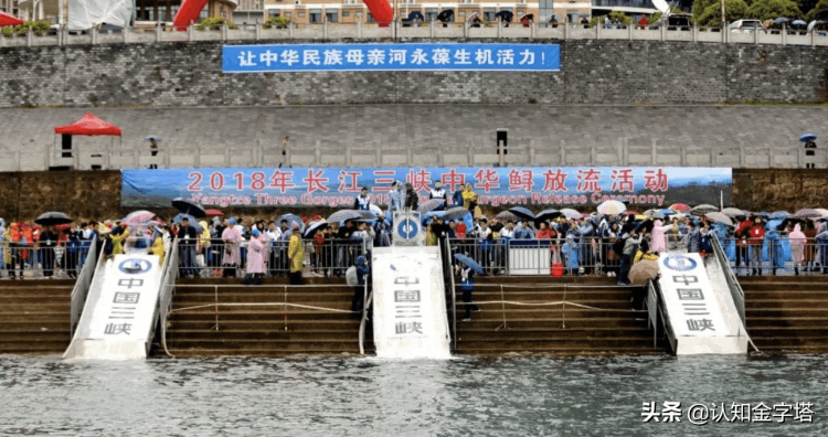 三峡大坝跟汶川地震有关系么（汶川地震怎么引起的）