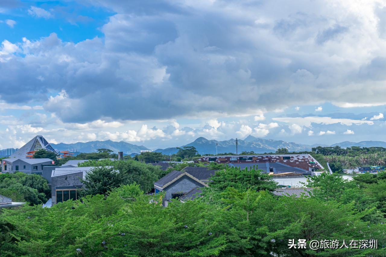 深圳最繁华的地方在哪里（深圳市最繁华的商业街）