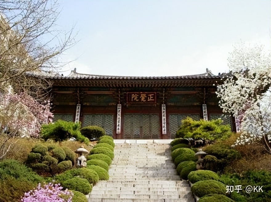 东国大学校花(东国大学在韩国排名)