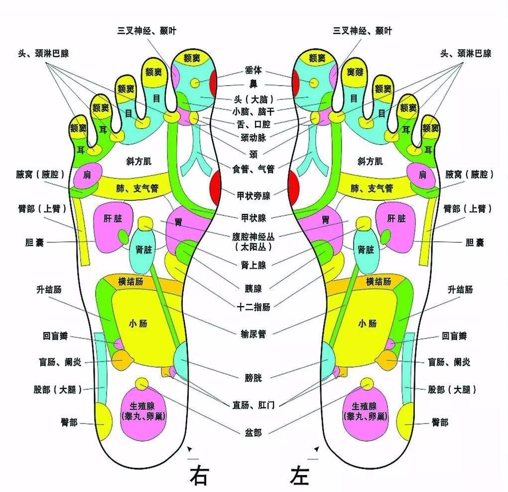 新手学足疗要怎么入手（足疗初学者的技巧和手法）