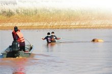 湄公河惨案发生在哪一年（湄公河惨案真实全过程）