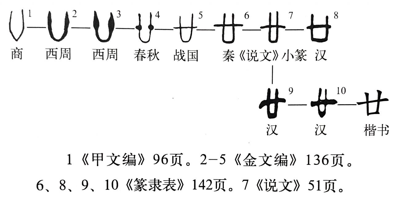 《说文解字》第378课：古人怎样创造了“廿、卅、卌”这些字？