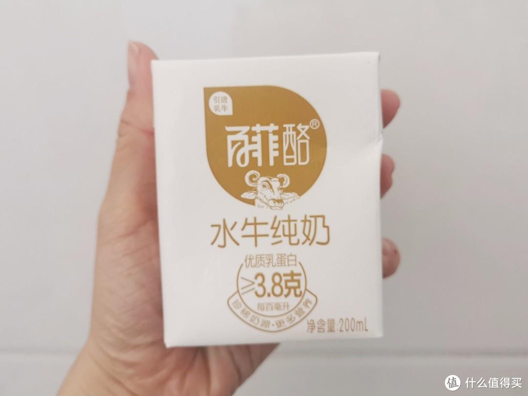 牛奶的品牌有哪些牌子(无糖牛奶有哪些牌子)