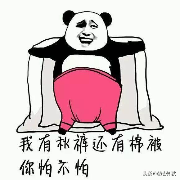 为什么叫秋裤(为什么叫秋裤大叔)