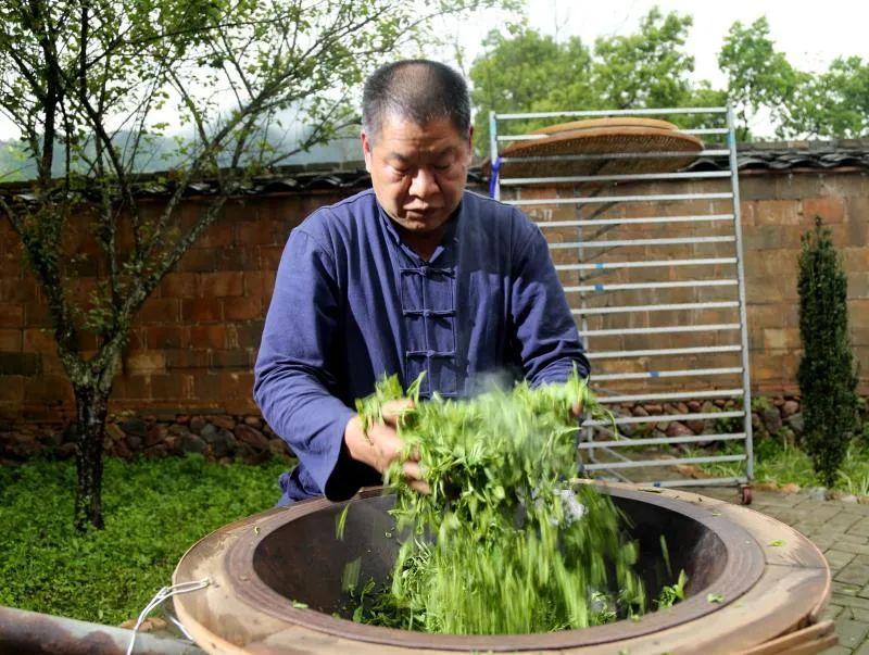 松溪绿茶是什么茶（松溪有什么特产）