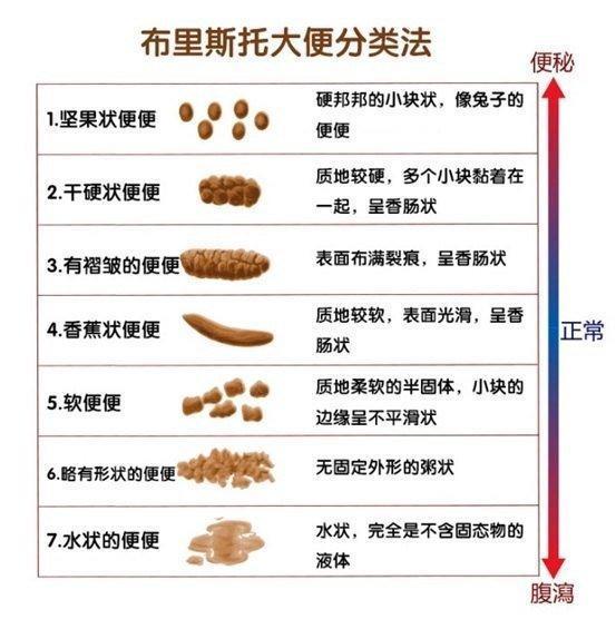 十女九痔是真的吗（女人长痔疮怎么治）