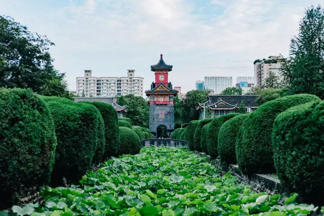 中国最美丽城市排名（中国十大最美丽城市）