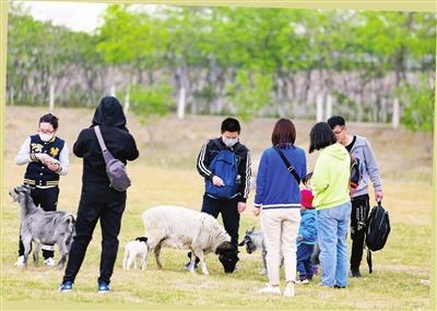 天津哪个森林公园好玩（天津市风景最好的公园）