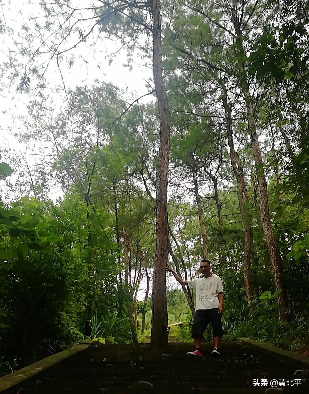 重庆主城哪里可以爬山的地方（重庆主城爬山最值得去的山）