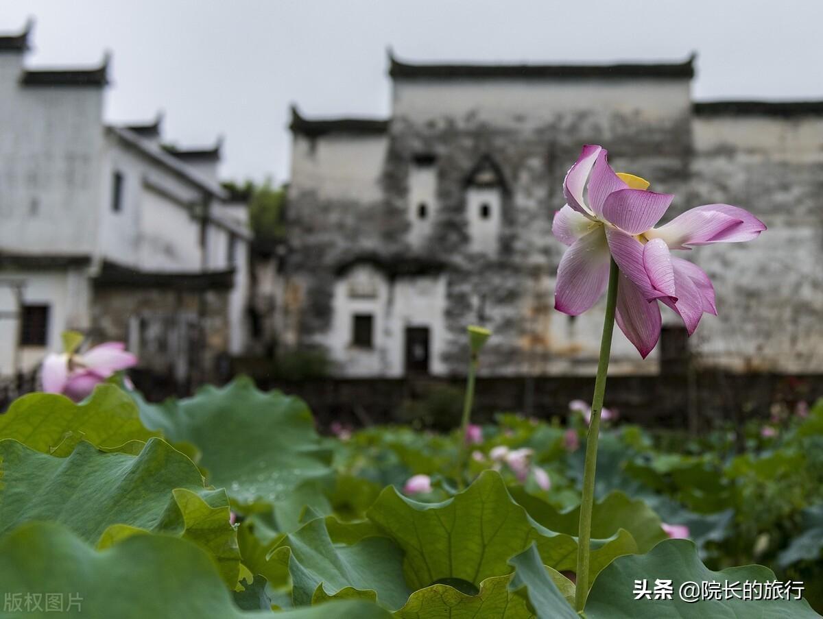 婺源古镇什么时候最好玩（婺源古镇旅游攻略）