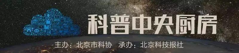 曼陀山庄种满了什么花（天龙八部曼陀山庄介绍）