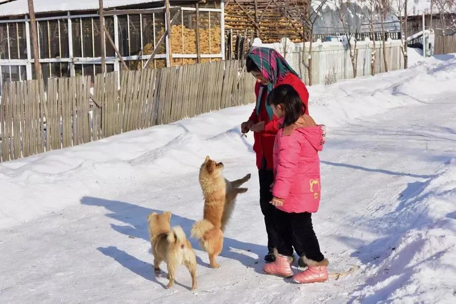 中国雪乡在哪个城市及成因（怎么去雪乡最方便）