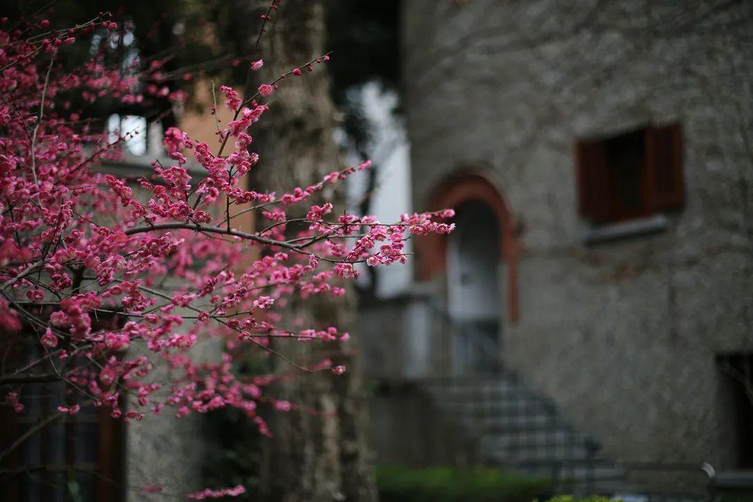 思南路附近怀旧景点（思南路在哪个区）