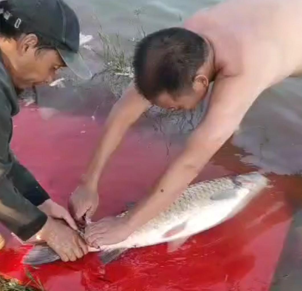 柘林水库有多大面积（江西柘林水库是哪一年开始修的）