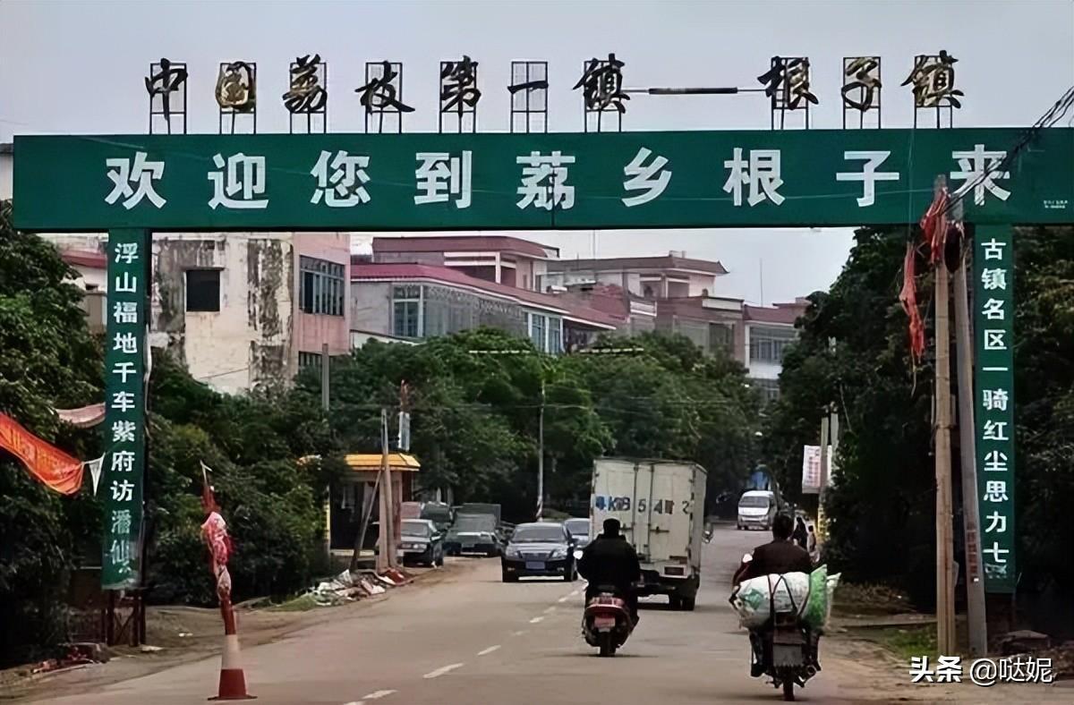 中国荔枝之乡是哪个城市（中国三大荔枝产地）