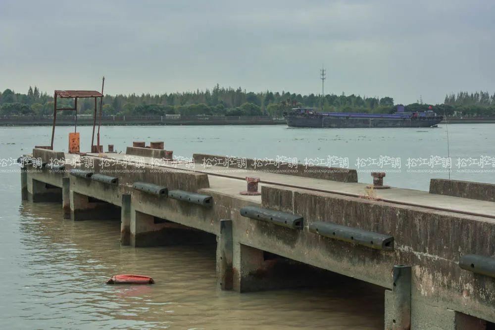 松江米市渡郊野公园好玩吗(上海十大郊野公园排名）