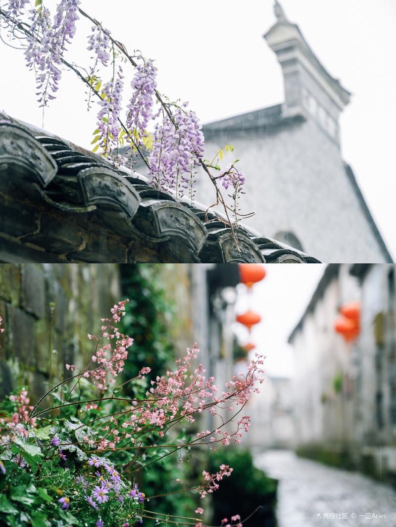 浙江适合冬天去的旅游景点（浙江旅游必去十大景点推荐）