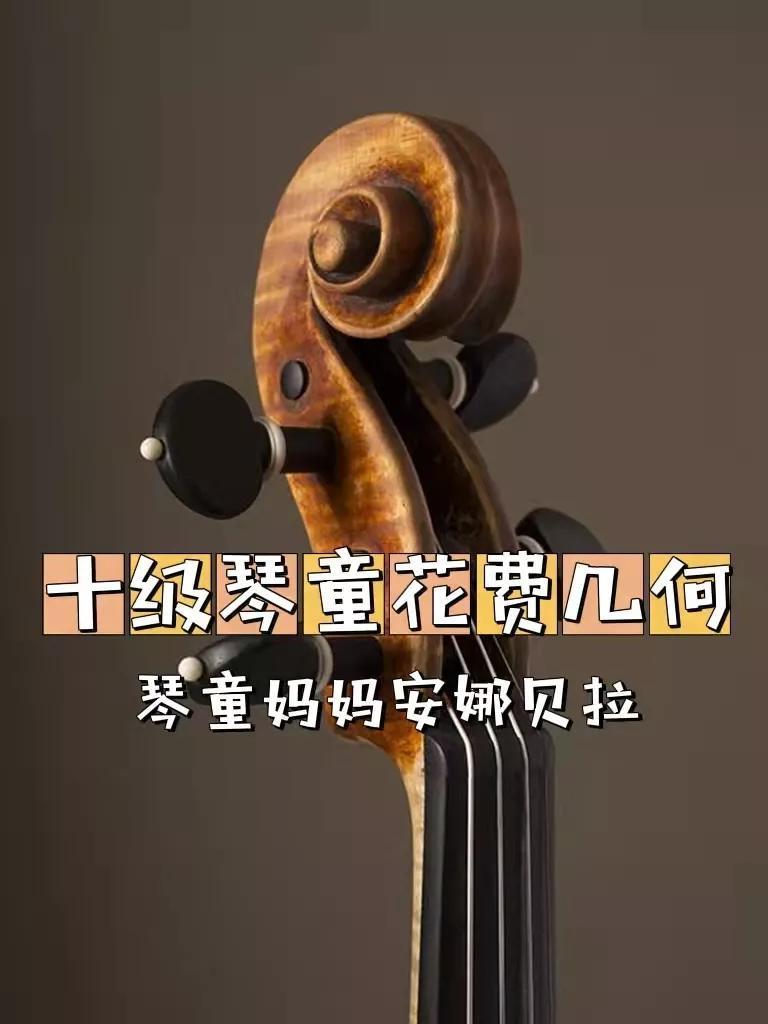 学小提琴烧钱吗（学小提琴的费用 一年大概多少钱）