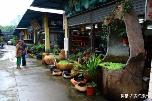 天津花鸟鱼虫市场哪个最大（天津中环花鸟鱼虫批发市场）