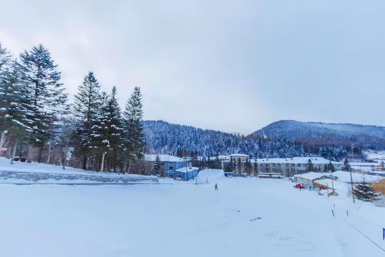 雪乡特产有哪些特产（雪乡特色美食简介）