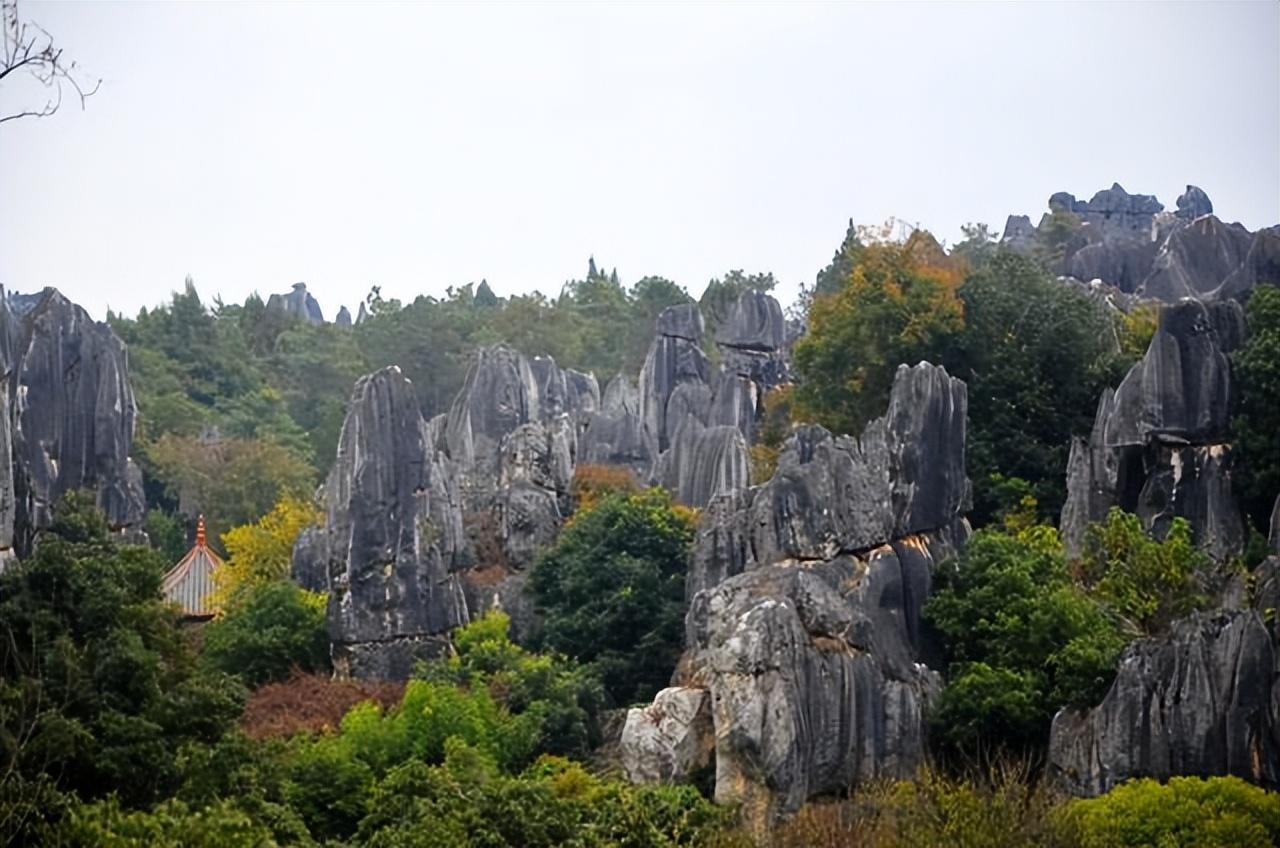 云南民族村值得去吗（昆明民族村旅游攻略）