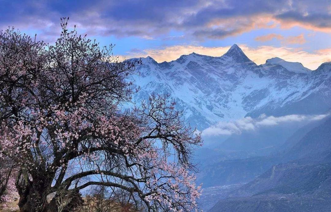 看雪山去哪个比较好（中国最美十大雪山排名）