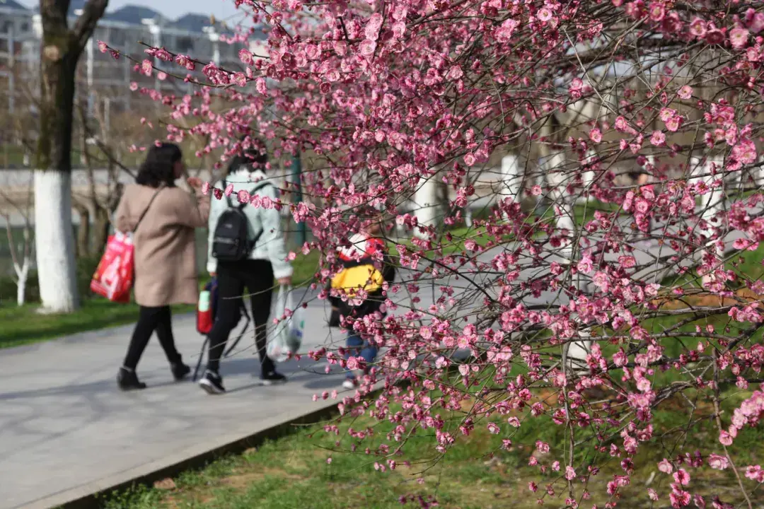 咸宁温泉谷度假区怎么样（咸宁一日游最佳路线）