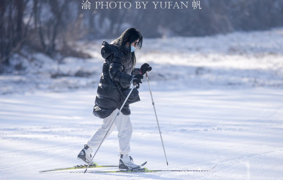 长春有什么好玩的地方吗（长春市必去的景点排名）