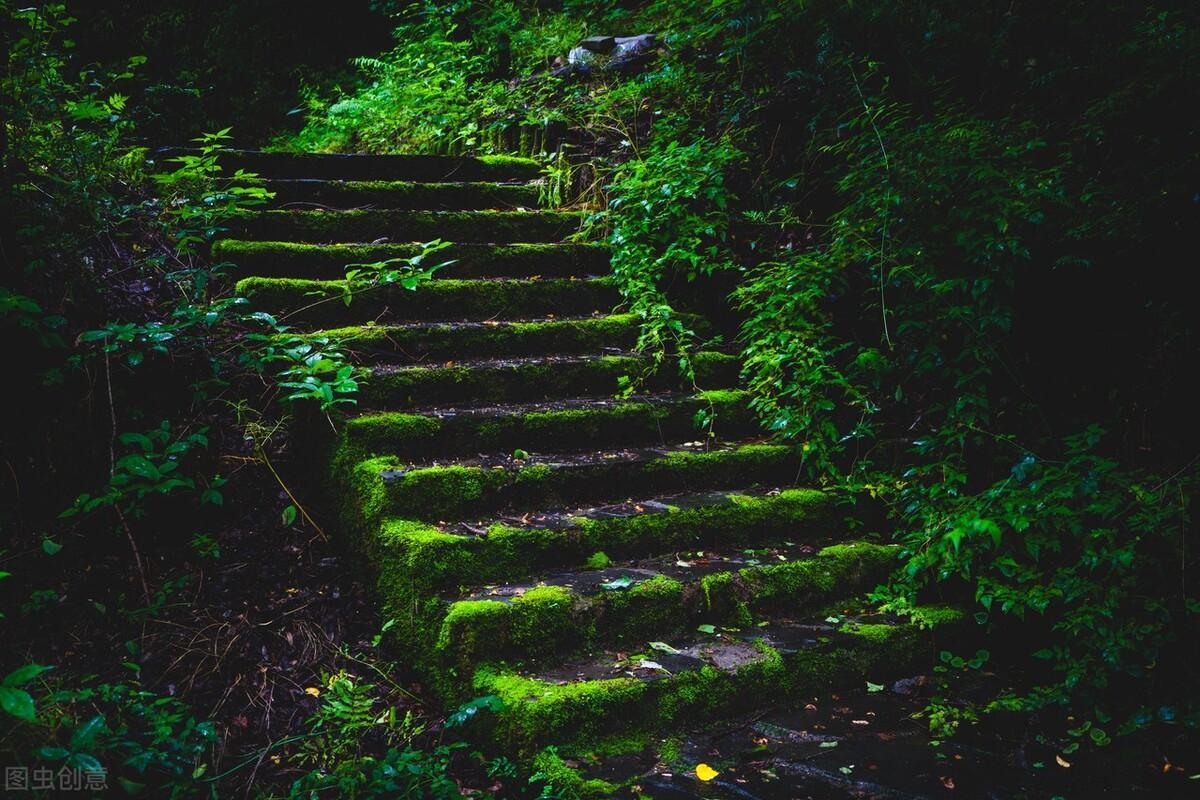 西安有什么山比较出名（西安值得去爬及可以看日出的名山）