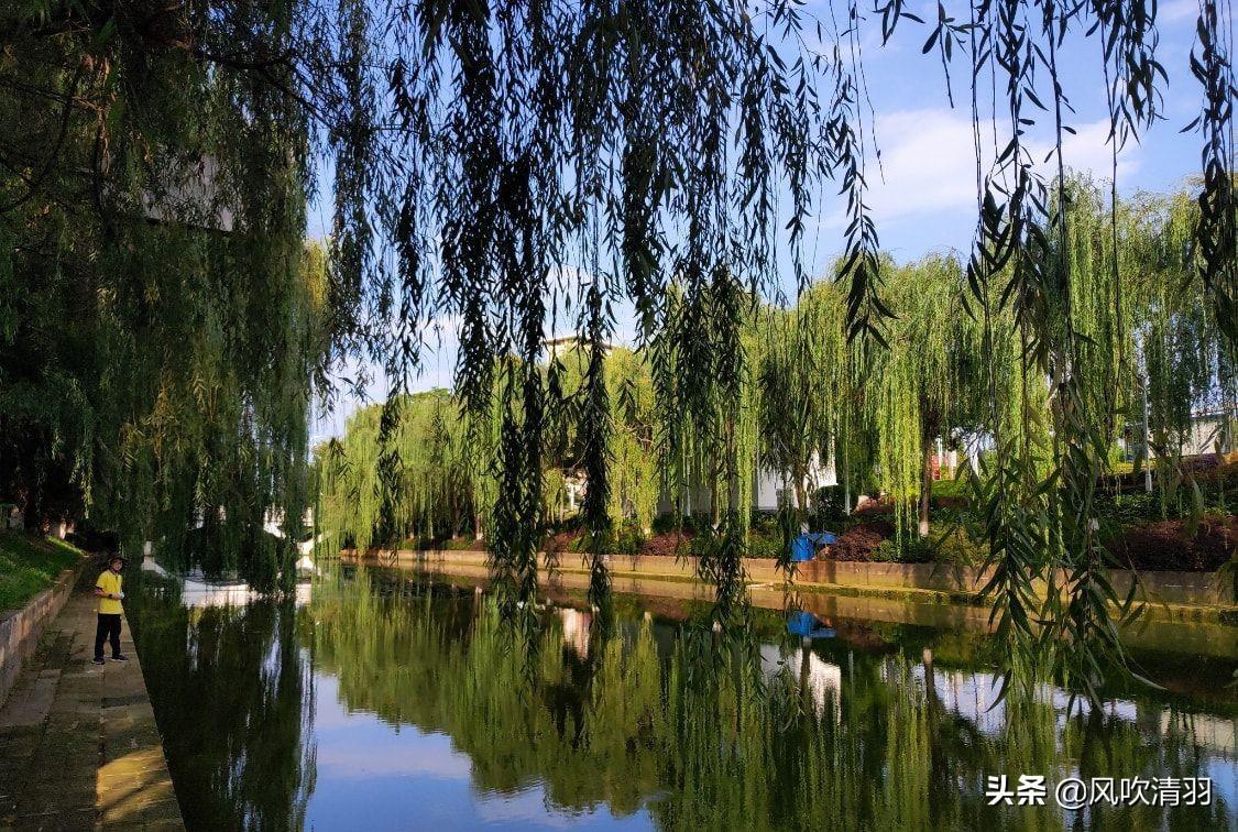 珠海宜居城市排名（广东省最宜居的城市）