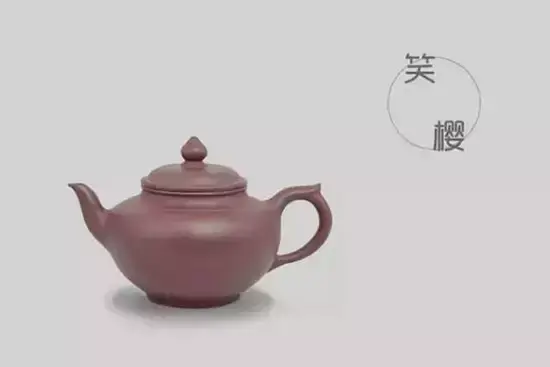 紫砂壶壶型大全图谱（紫砂壶的壶型种类图解）