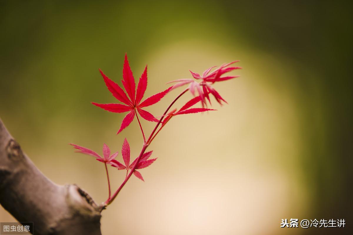 祝英台和梁山伯民间故事简介（祝英台和梁山伯故事内容缩写）