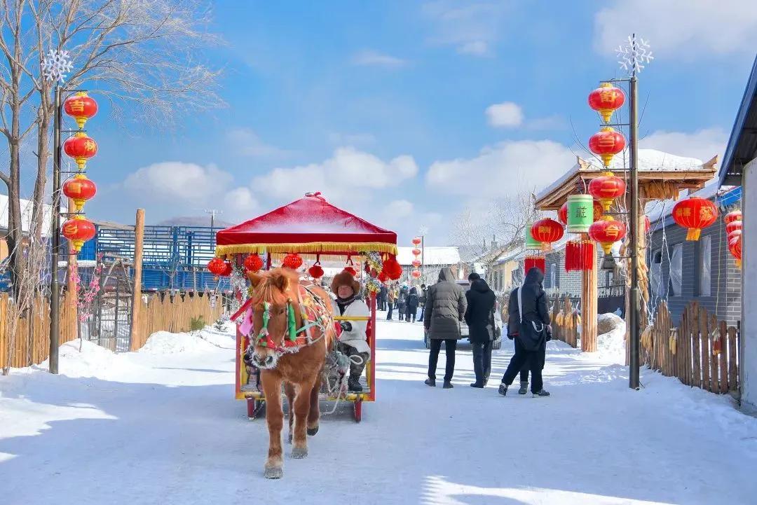 中国雪乡在哪个城市及成因（怎么去雪乡最方便）