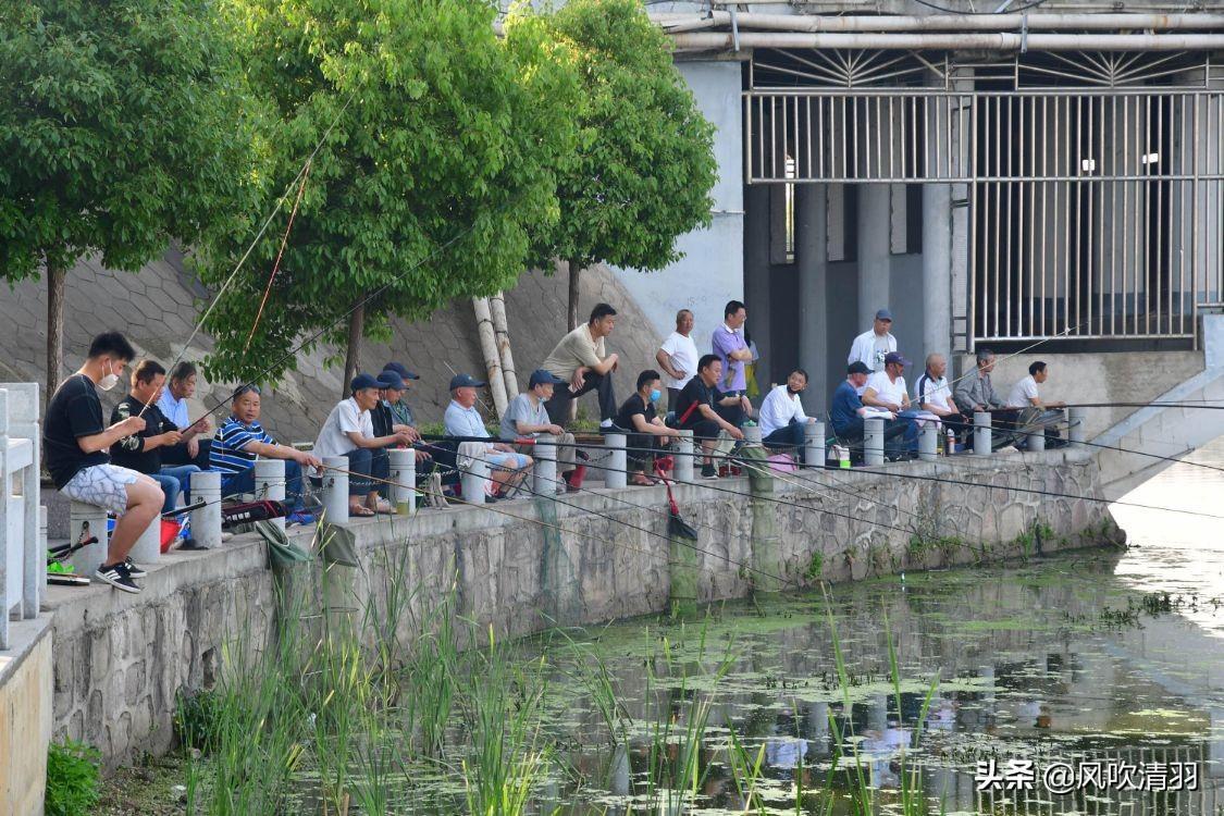 珠海宜居城市排名（广东省最宜居的城市）