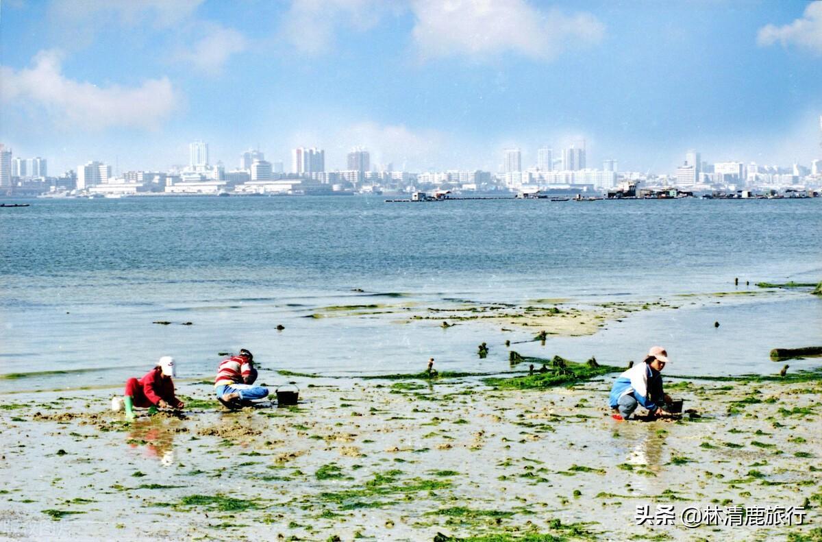 中国适合冬天旅游的城市有哪些（中国最适合冬天旅游的城市）