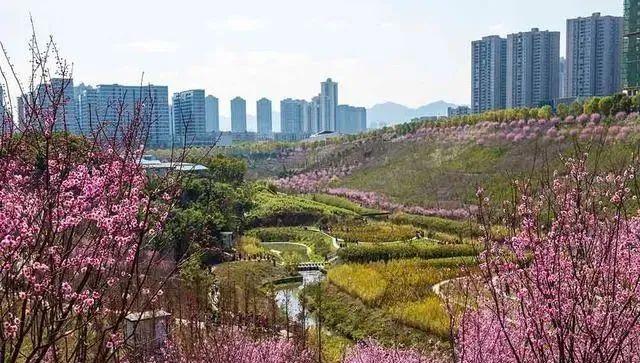 重庆大平层豪宅排名榜（重庆大平层十大豪宅）